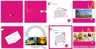 美其味食品公司画册图片与会议展览服务